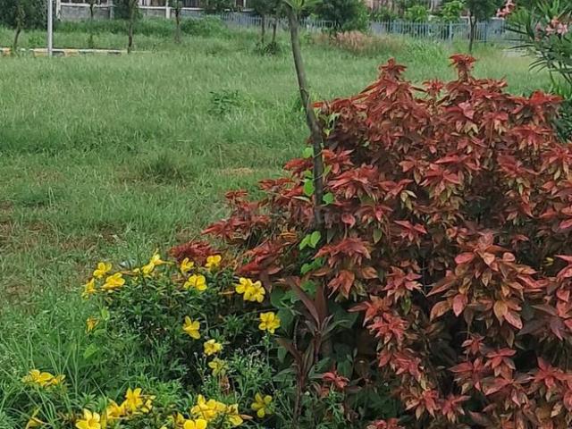 Residential Plot in Abids for resale Hyderabad. The reference number is 19944842