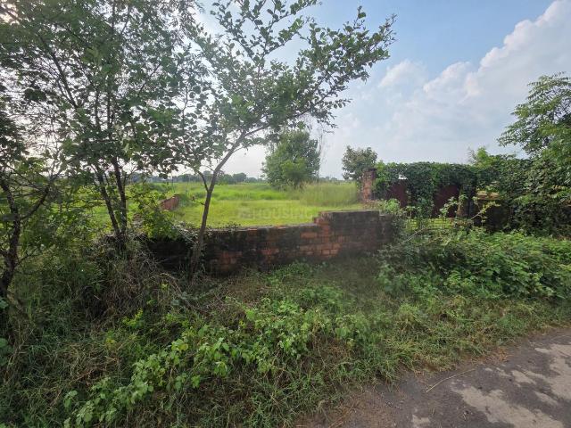 Residential Plot in Adalpura for resale Varanasi. The reference number is 21137209