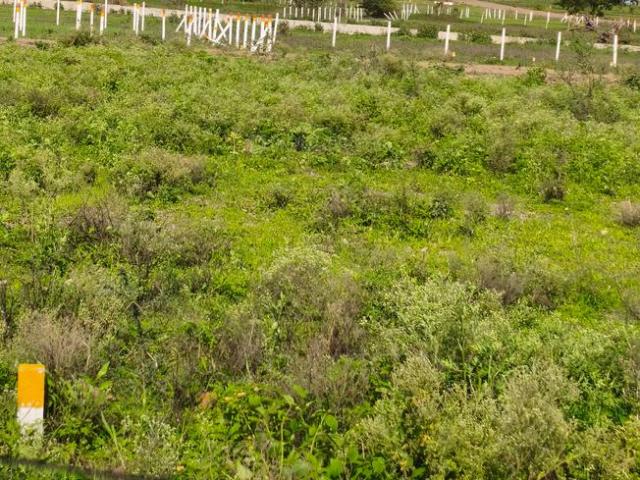 Residential Plot in Adgaon for resale Nashik. The reference number is 20693043