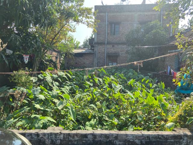 Residential Plot in Sodepur for resale Kolkata. The reference number is 10870996