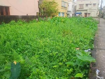 Residential Plot in Agarpara for resale Kolkata. The reference number is 18359458