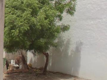 Bahadurgarh, Jhajjar District, Haryana State