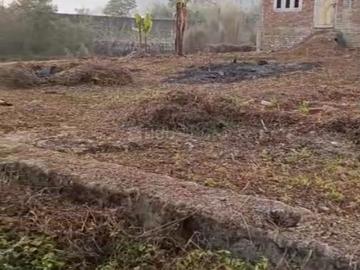 Land for sale in Assam