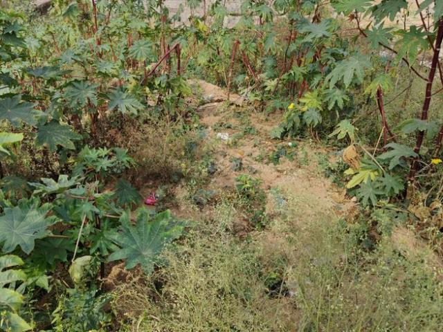 Residential Plot in Ahmedguda for resale Secunderabad. The reference number is 13300107