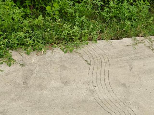 Residential Plot in Ajabpur Khurd for resale Dehradun. The reference number is 20727265