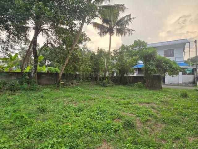 Residential Plot in Alangad for resale Kochi. The reference number is 21280405