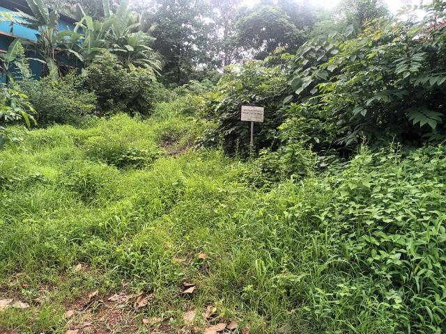 Residential Plot in Aldona for resale Goa. The reference number is 20724890
