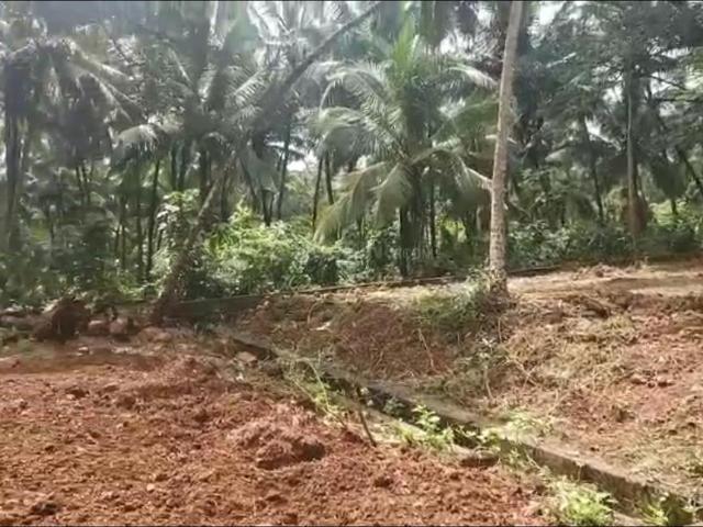 Residential Plot in Alto Chicalim for resale Goa. The reference number is 18467702