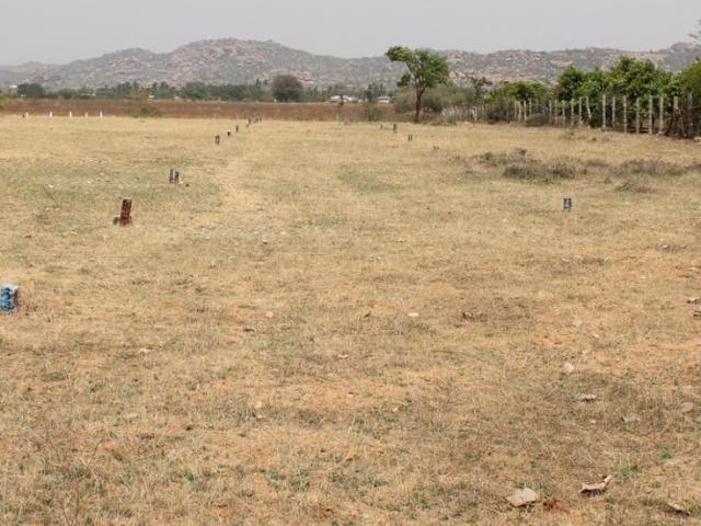 Residential Plot in Amangal for resale Ranga Reddy. The reference number is 9364935
