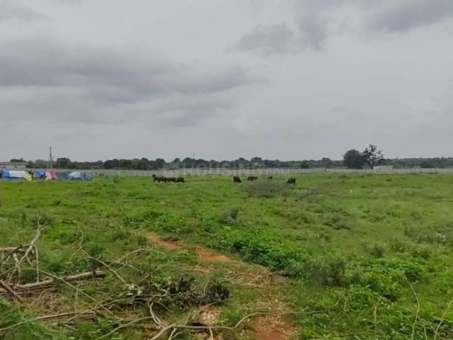 Residential Plot in Amangal for resale Ranga Reddy. The reference number is 20879912