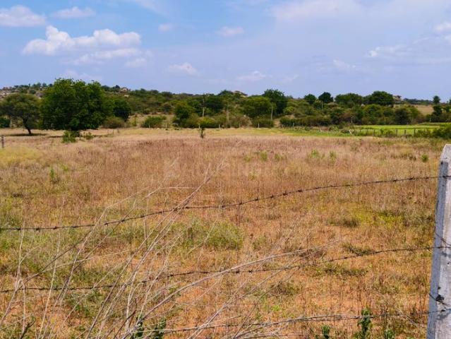 Residential Plot in Amangal for resale Ranga Reddy. The reference number is 20991692
