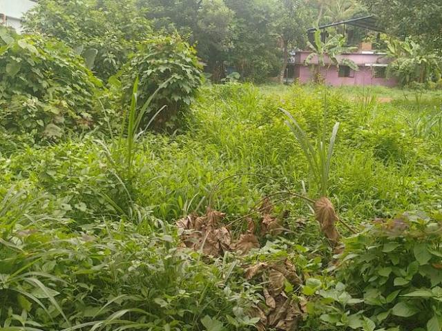 Residential Plot in Amalanagar for resale Thrissur. The reference number is 21287087