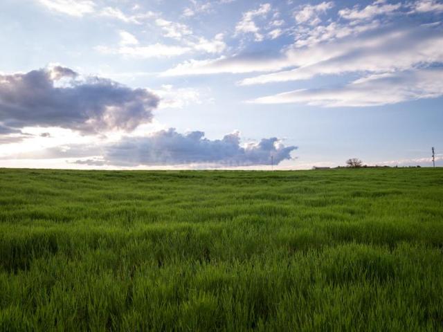 Residential Plot in Ambli for resale Ahmedabad. The reference number is 21320190