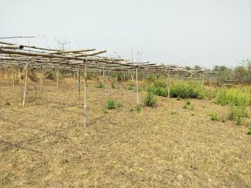 Land for sale in Assam