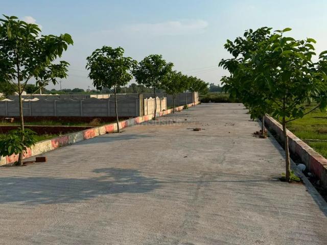 Residential Plot in Amiliha for resale Kanpur. The reference number is 20625419