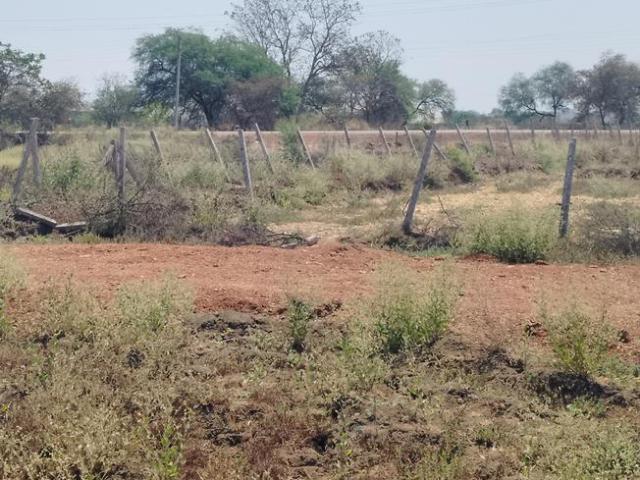 Residential Plot in Amleshwar for resale Raipur. The reference number is 19760736