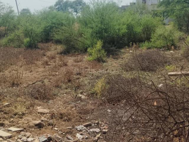 Residential Plot in Amleshwar for resale Raipur. The reference number is 19867761