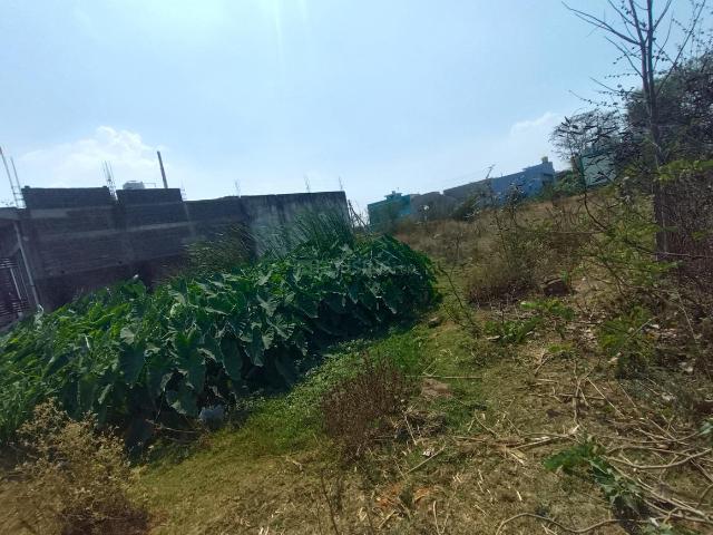 Residential Plot in Amleshwar for resale Raipur. The reference number is 19867868