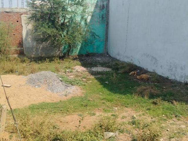 Residential Plot in Amleshwar for resale Raipur. The reference number is 19867984