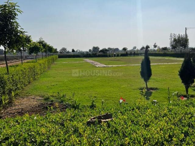 Residential Plot in Amleshwar for resale Raipur. The reference number is 21107210
