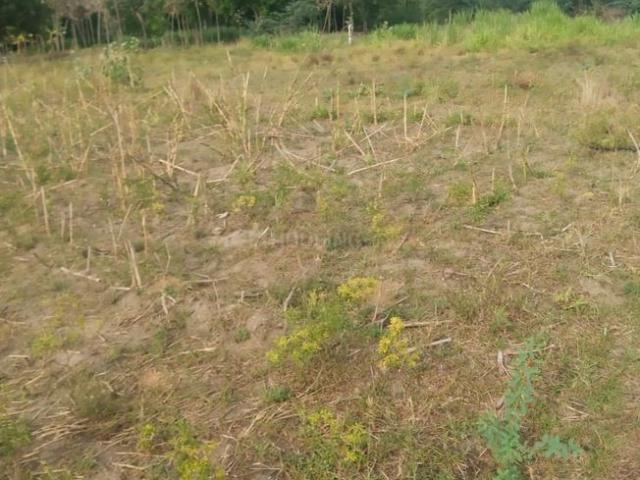 Residential Plot in Ammapettai for resale Tiruchirappalli. The reference number is 20585212