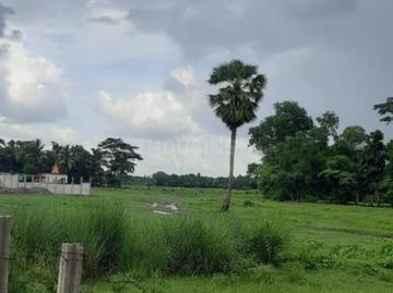Residential Plot in Amtala for resale Kolkata. The reference number is 16602129