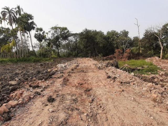 Residential Plot in Amtala for resale Kolkata. The reference number is 19684868