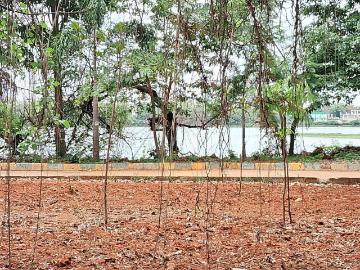 Residential Plot in Anantapura for resale Bengaluru. The reference number is 20338988