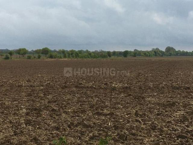 Residential Plot in Anand Nagar, Sinhagad Road for resale Pune. The reference number is 20531093