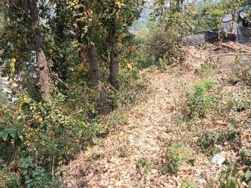 Residential Plot in Anarwala for resale Dehradun. The reference number is 17139541