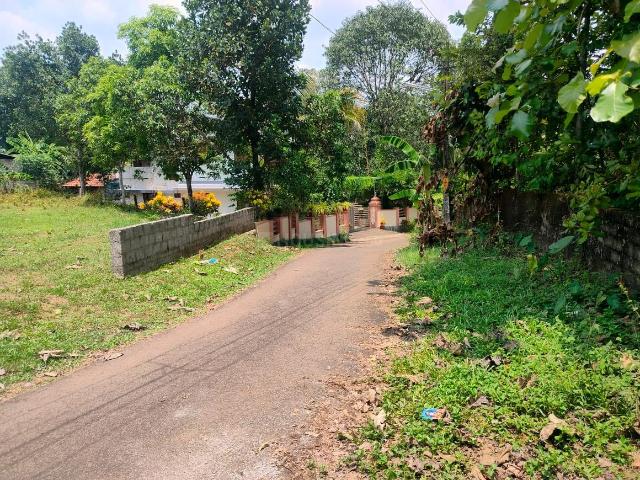 Residential Plot in Angamaly for resale Kochi. The reference number is 16941945