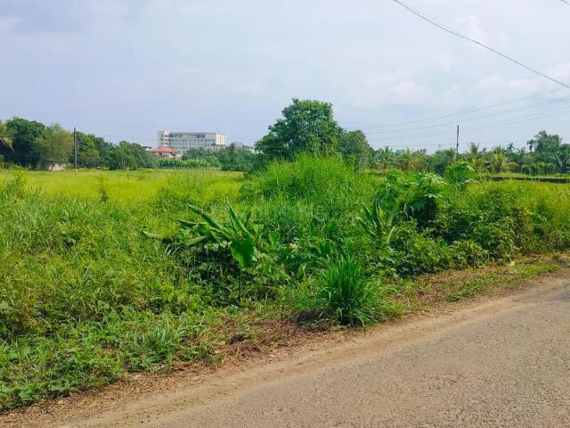 Residential Plot in Angamaly for resale Kochi. The reference number is 18586034