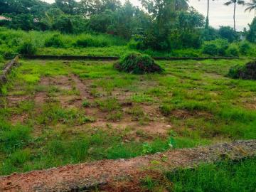 Aluva Ernakulam, Ernakulam District, Kerala State