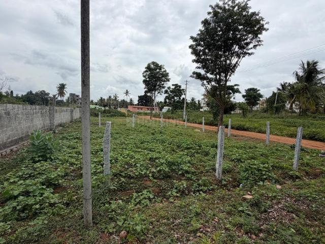 Residential Plot in Andrahalli for resale Bengaluru. The reference number is 20838966