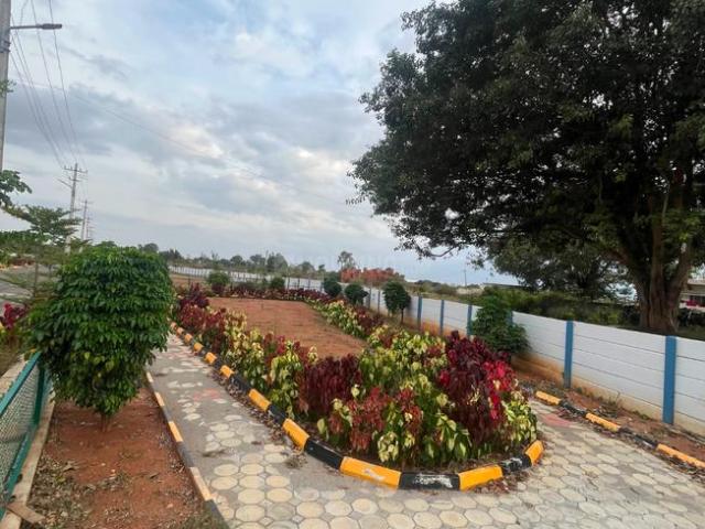 Residential Plot in Anekal for resale Bengaluru. The reference number is 20886956