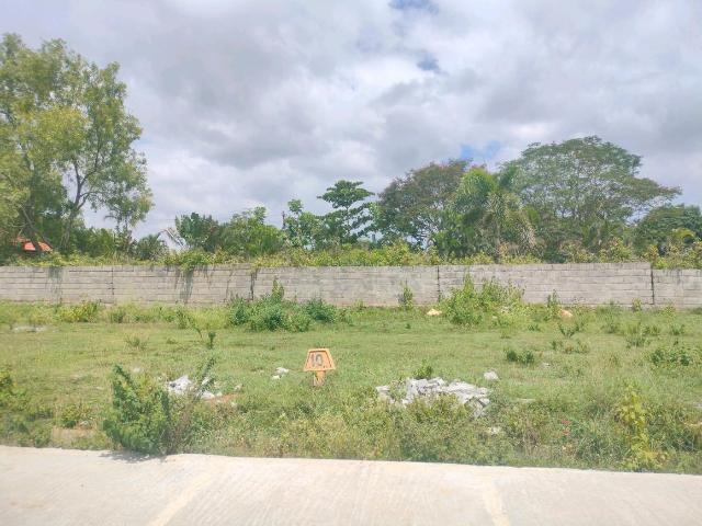 Residential Plot in Anekal Rural for resale Bengaluru. The reference number is 18939678