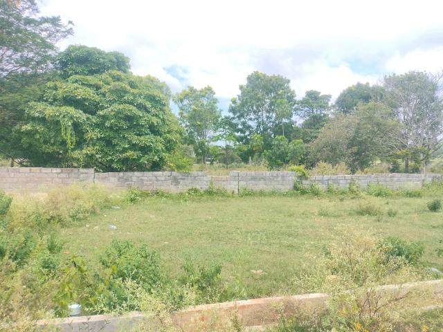 Residential Plot in Anekal Rural for resale Bengaluru. The reference number is 19817113