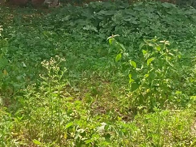 Residential Plot in Anjanapura Township for resale Bengaluru. The reference number is 10092177