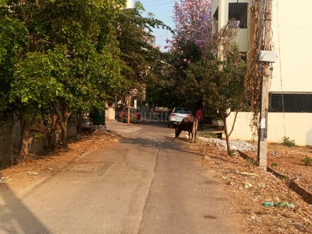Residential Plot in Annapurneshwari Nagar for resale Bengaluru. The reference number is 14097444