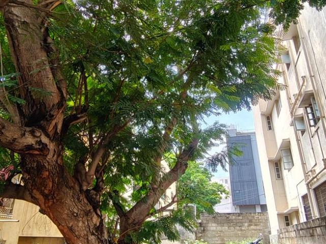 Residential Plot in Annapurneshwari Nagar for resale Bengaluru. The reference number is 21258130