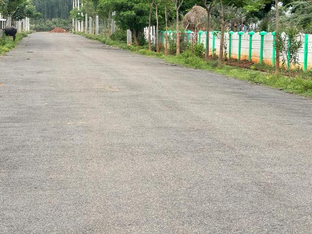 Residential Plot in Antakapalle for resale Visakhapatnam. The reference number is 21009813