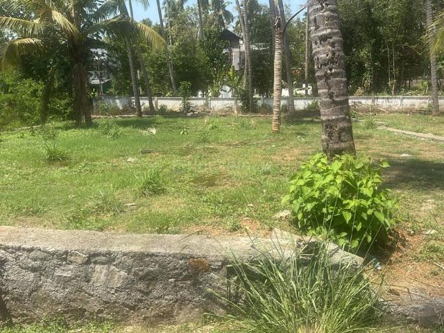 Residential Plot in Aranattukara for resale Thrissur. The reference number is 19691803