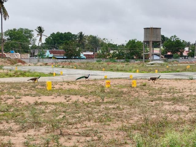 Residential Plot in Arisipalayam for resale Coimbatore. The reference number is 20410110