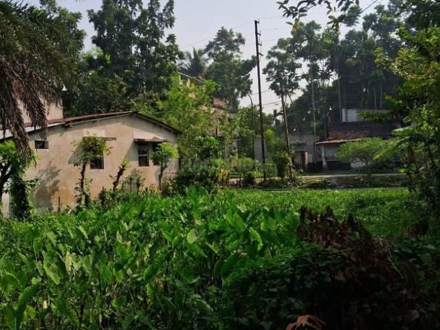 Residential Plot in Ashoknagar Kalyangarh for resale North 24 Parganas District. The reference number is 20914393