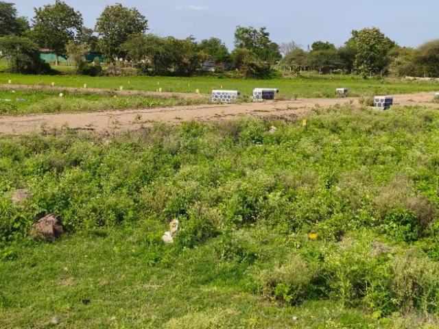 Residential Plot in Asha Nagar for resale Nashik. The reference number is 20702664