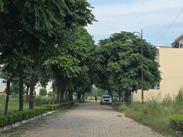 Residential Plot in Ashiana Colony for resale Dera Bassi. The reference number is 18789750