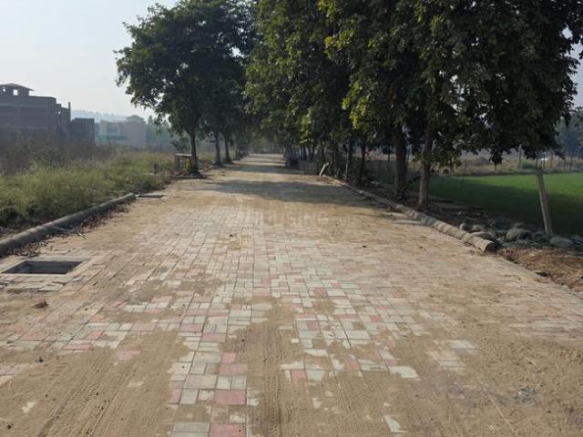 Residential Plot in Ashiana Colony for resale Dera Bassi. The reference number is 19315163