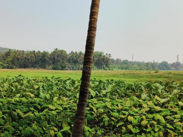 Residential Plot in Assonora for resale Goa. The reference number is 16774230