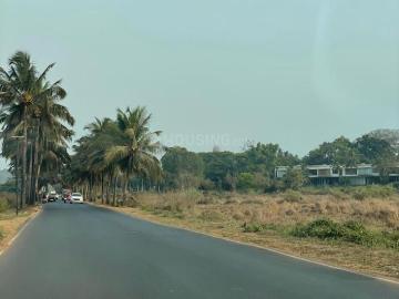 Assagao, North Goa District, Goa State