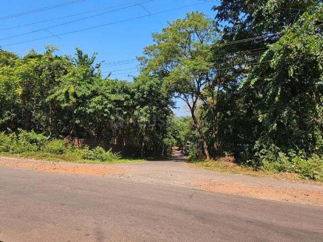 Residential Plot in Assagao for resale Goa. The reference number is 18838105